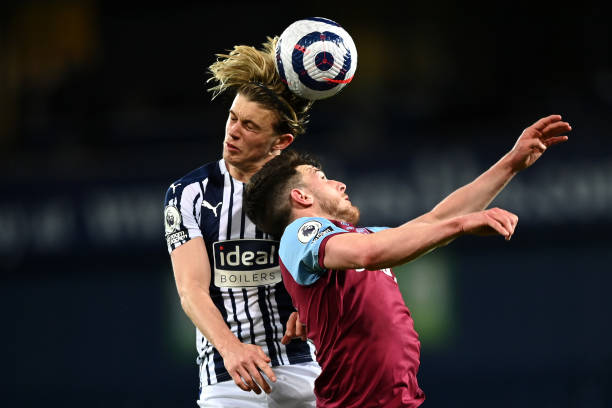 的悉心栽培 的悉心栽培